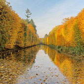 Gdańsk. Park Oliwski (2012)