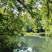 Gdańsk. Park Oliwski (2011)