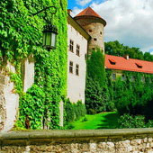 Pieskowa Skała. Zamek (1999)