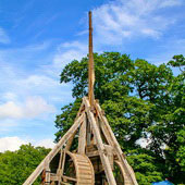 Warwick. Trebusz (2007)