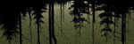 Blake Crouch Wayward Pines. Szum